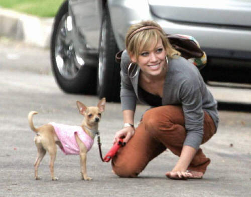 hilary duff photos pictures. ~Hilary Duff after being asked