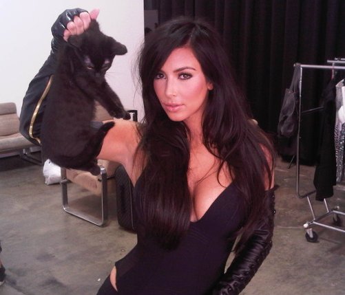 Kim Kardashian Cat Photoshoot