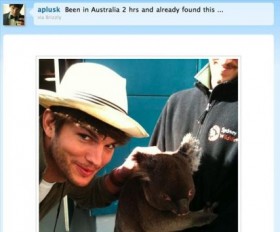 Ashton Kutcher Posing with Koala 