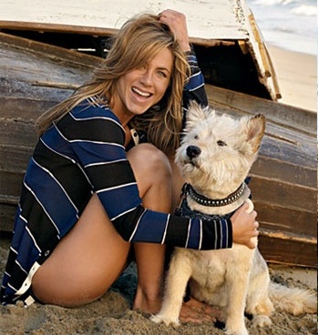 Jennifer Aniston Dog