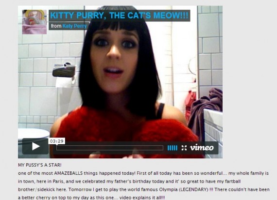 Katy Perry blog