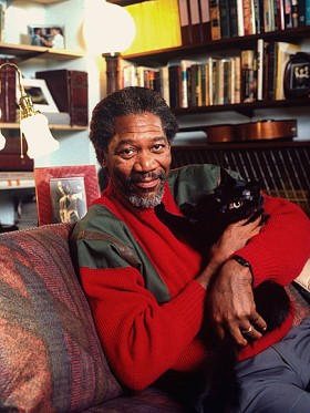 Morgan Freeman Cat